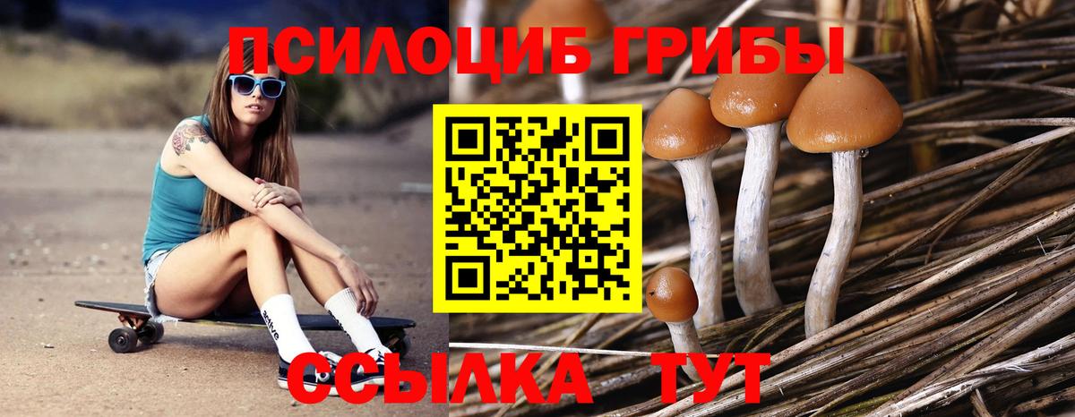 Большой Камень  где купить наркоту  Вход с VPN  Псилоцибиновые грибы GOLDEN TEACHER 